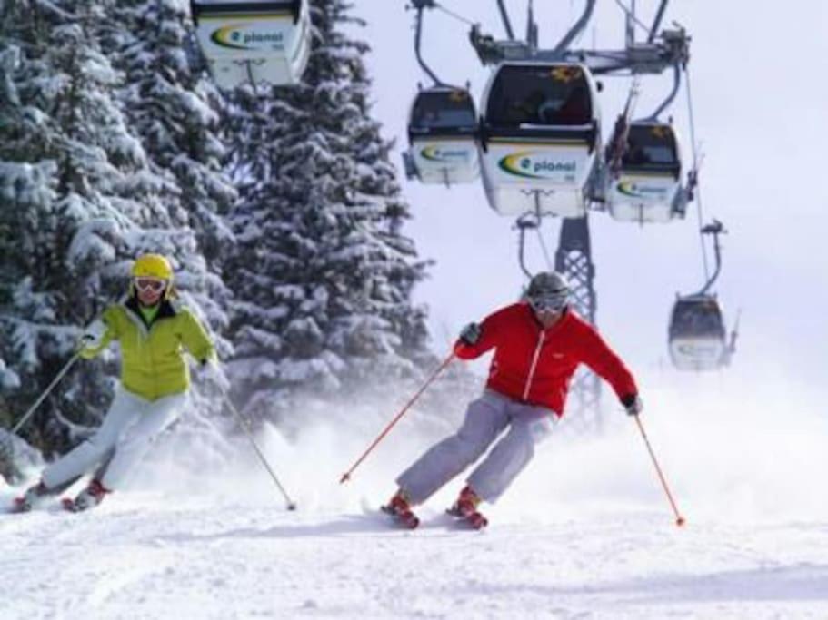 Sunrise Apartment Schladming Εξωτερικό φωτογραφία